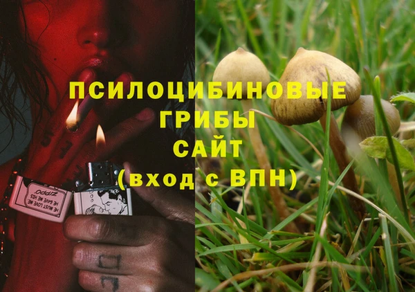 гидропоника Балахна