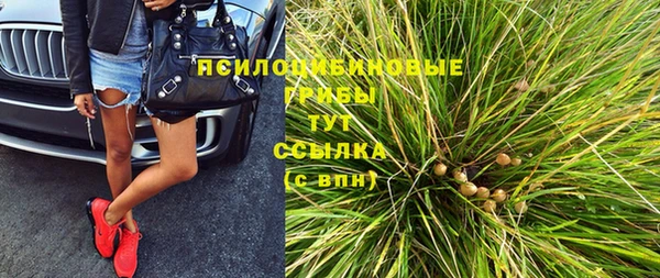 индика Балабаново
