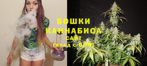 индика Балабаново