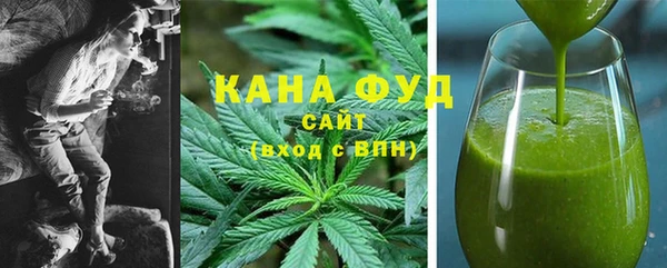 индика Балабаново